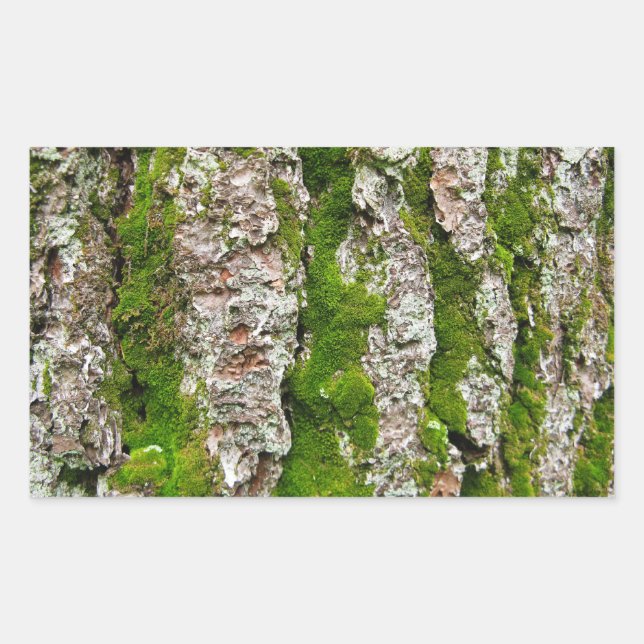 Pine Tree Bark With Moss Rectangular Sticker (Front)
