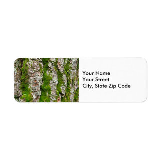 Pine Tree Bark With Moss return address label