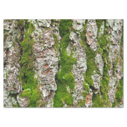 Pine Tree Bark With Moss Tissue Paper