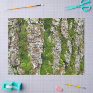 Pine Tree Bark With Moss Tissue Paper