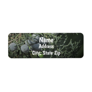 Pine Tree Berries Nature Photo Rustic Address Label