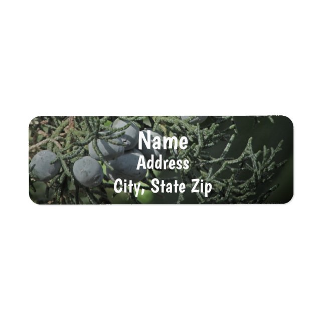 Pine Tree Berries Nature Photo Rustic Address Label (Front)