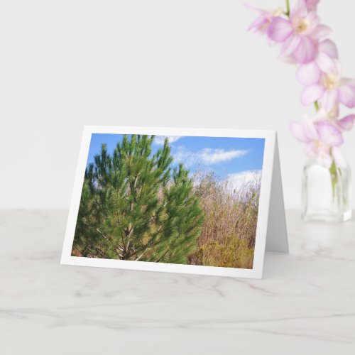 Pine Tree Blue Sky Portrait Card
