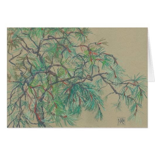 Pine Tree Branch, Botanical Floral Pastel Drawing Cards (Front Horizontal)