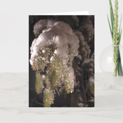 Pine Tree Branch Covered in Snow Blank Holiday Card