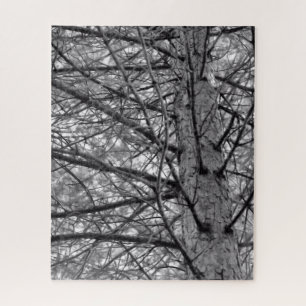 Pine Tree Branches in Black and White Jigsaw Puzzle