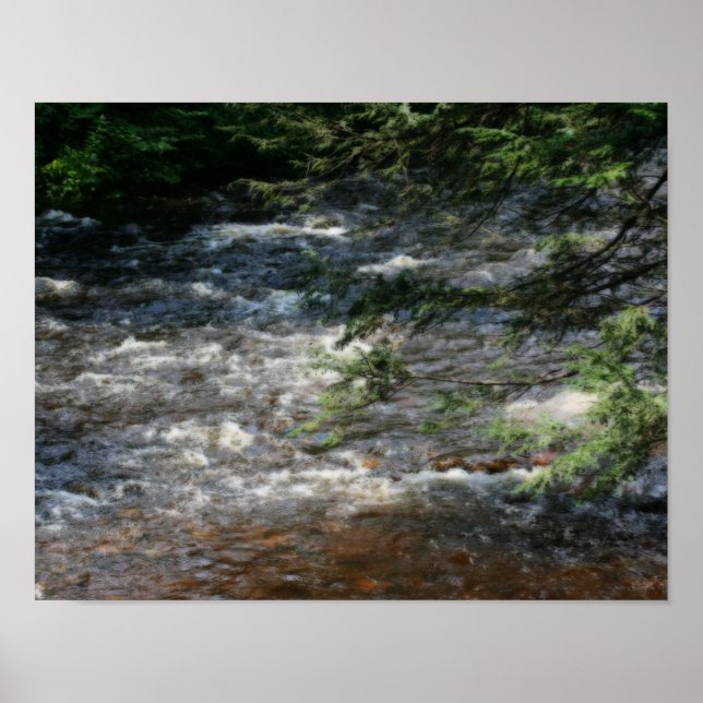 Pine Tree Branches Over Rapids In Stream Orton Poster (Front)