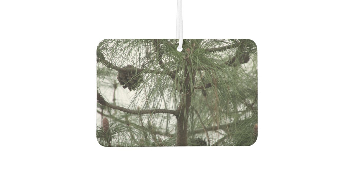 Pine Tree Car Air Freshener Zazzle