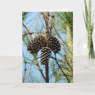 Pine Tree Card