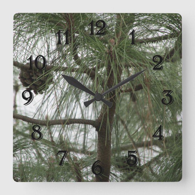 Pine Tree Clock (Front)