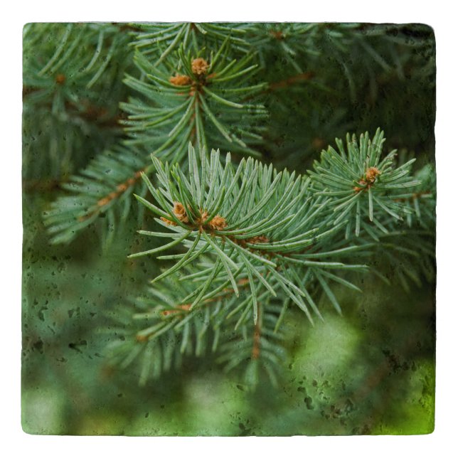 Pine tree closeup trivet (Front)