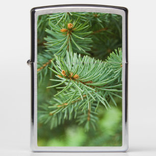 Pine tree closeup zippo lighter
