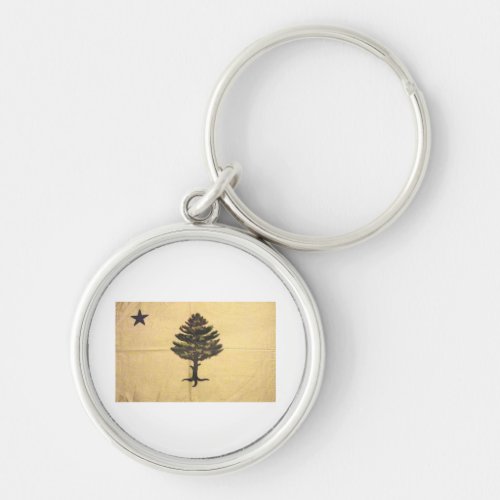 PINE TREE FLAG APPEAL TO HEAVEN FLAG OLD PHOTO KEYCHAIN