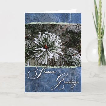 Pine Tree In Snow-season's Greetings Holiday Card by William63 at Zazzle