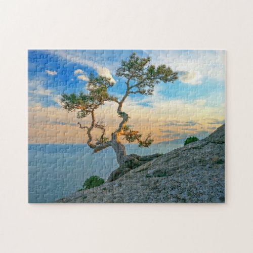 Pine Tree On Rocks Nature Landscape Ocean Sunset Jigsaw Puzzle