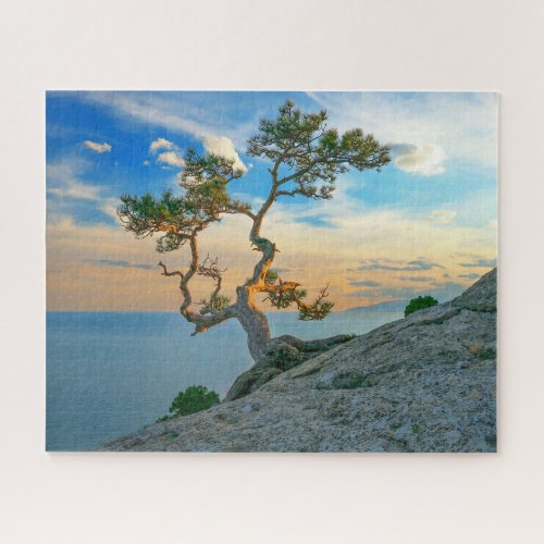 Pine Tree On Rocks Nature Landscape Ocean Sunset Jigsaw Puzzle