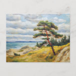 Pine Tree On Sanddune On Baltic Sea. Oil Painting  Postcard at Zazzle