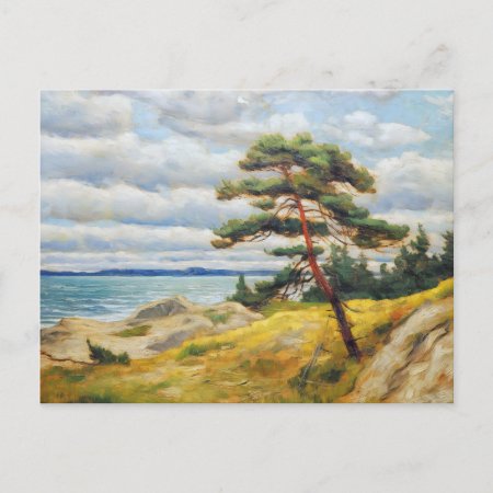 Pine Tree On Sanddune On Baltic Sea. Oil Painting  Postcard