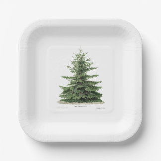 Pine Tree Plate Holiday Christmas Party Dinning