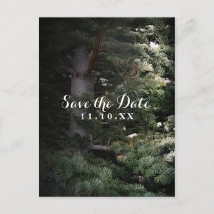Pine Tree Rustic Forest Woods Save the Date Party Announcement Postcard