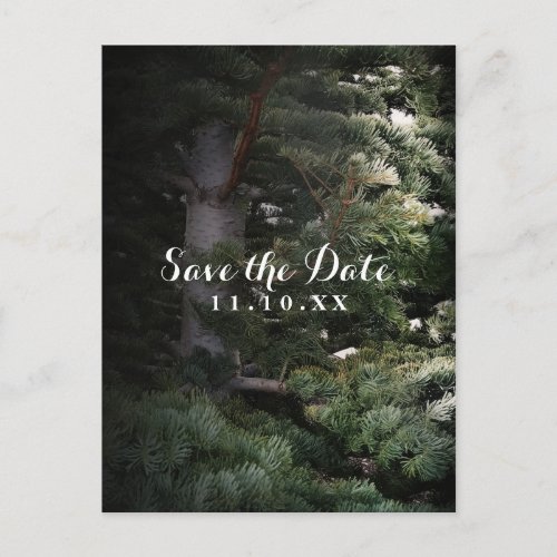 Pine Tree Rustic Forest Woods Save the Date Party Announcement Postcard