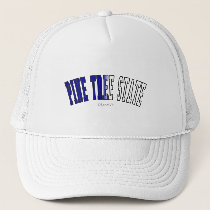 Pine Tree State in State Flag Colors Hat