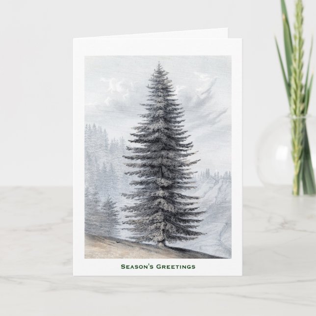 Pine Tree Winter Snow Christmas Mountains Country Holiday Card (Front)