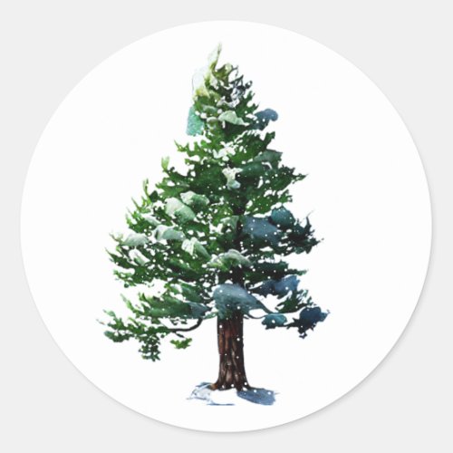 Pine Tree with Snow Watercolor Painting Christmas  Classic Round Sticker