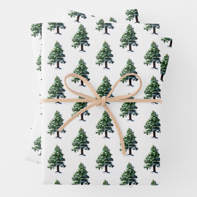 Pine Tree with Snow Watercolor Painting  Wrapping Paper Sheets (In situ)