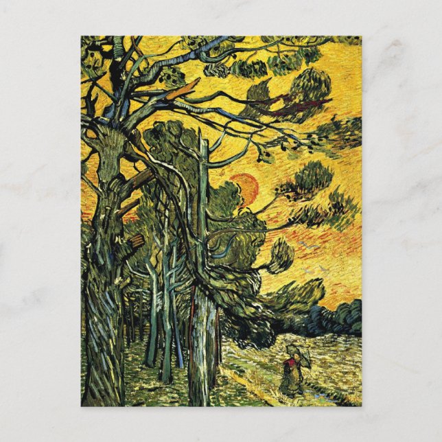 Pine Trees Against a Red Sky Postcard (Front)