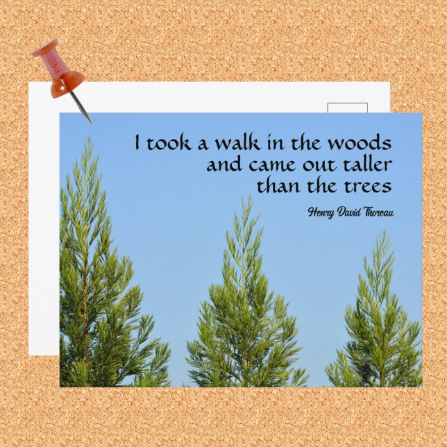 Pine Trees and Sky Thoreau Quote Walk in Woods Postcard (Creator Uploaded)