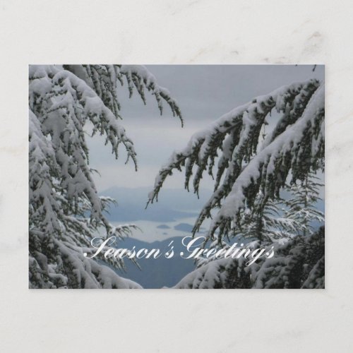 Pine Trees and Snow _ Seasons Greetings Fethiye Holiday Postcard