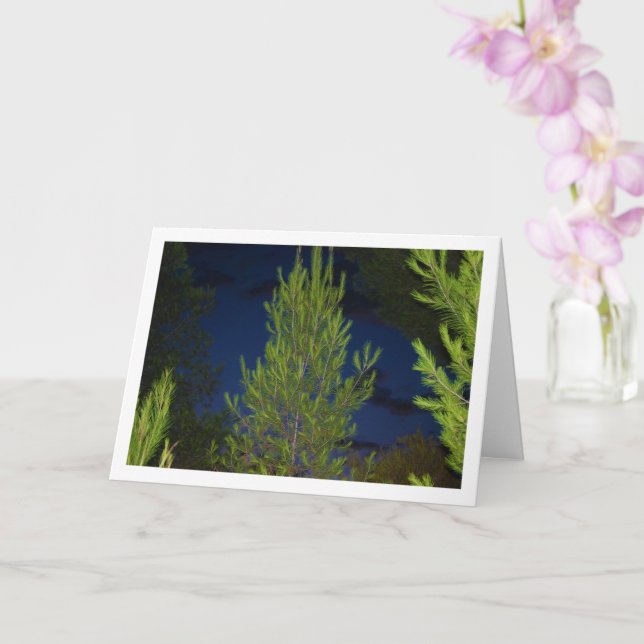 Pine Trees at Night Card (Orchid)