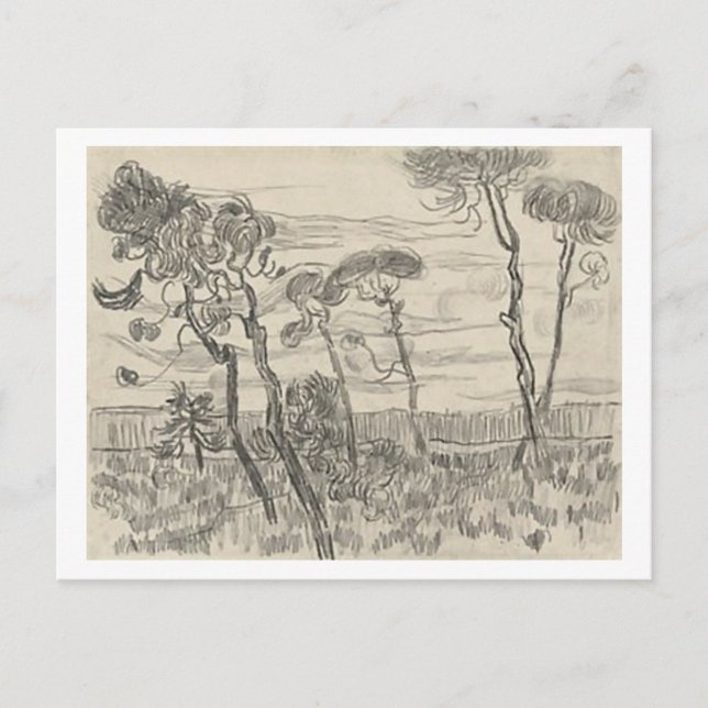 Pine Trees Front of Wall Asylum, Vincent van Gogh Postcard (Front)