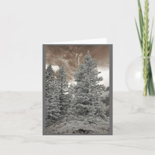 Pine Trees Holiday Card
