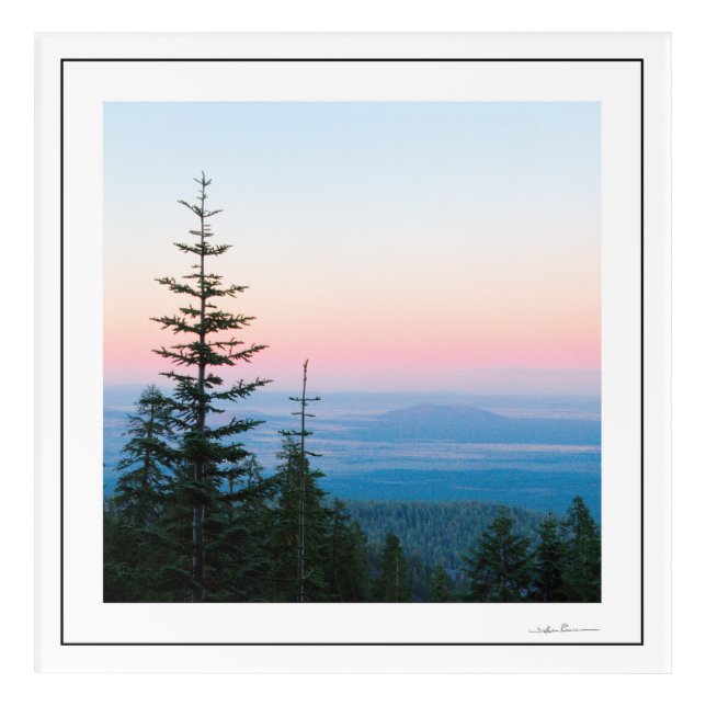 Pine Trees Infinite sky by Sidharta Acrylic Print (Front)