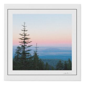 Pine Trees Infinite sky by Sidharta Faux Canvas Print