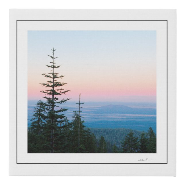 Pine Trees Infinite sky by Sidharta Faux Canvas Print (Front)
