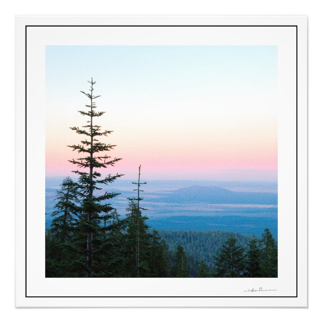 Pine Trees Infinite sky by Sidharta Photo Print (Front)