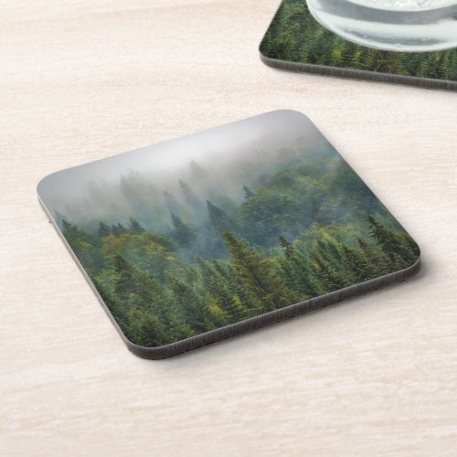 Pine trees Into the wild forest nature  Beverage Coaster