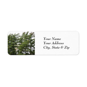 Pine Trees Label