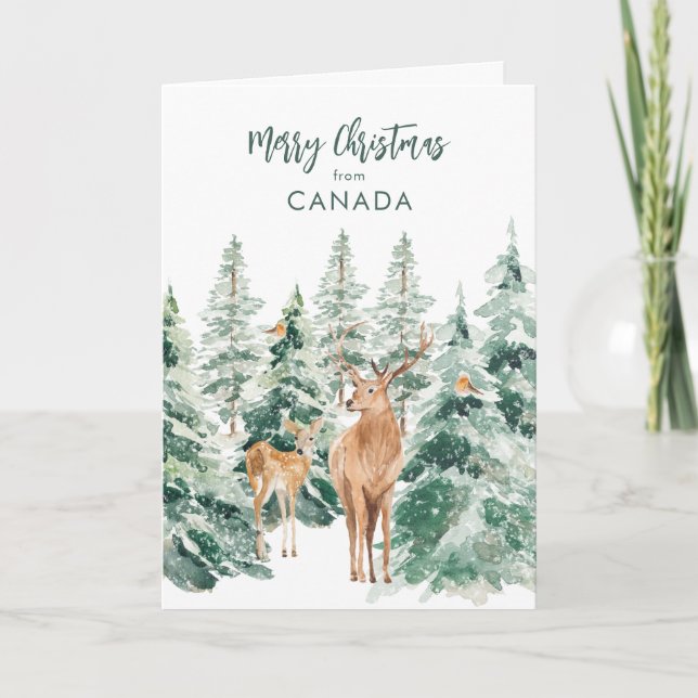 Pine Trees Merry Christmas From Canada Christmas Holiday Card (Front)