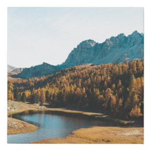PINE TREES NEAR LAKE FAUX CANVAS PRINT