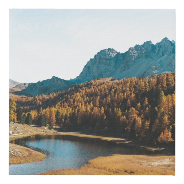 PINE TREES NEAR LAKE FAUX CANVAS PRINT (Front)