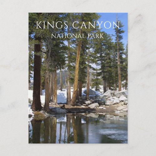 Pine Trees Snow Sequoia Lake Kings Canyon NP Postcard