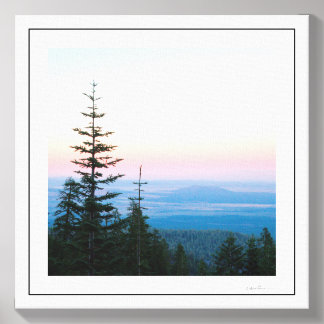 Pine Trees Sunset by Sidharta Canvas Photo Tile