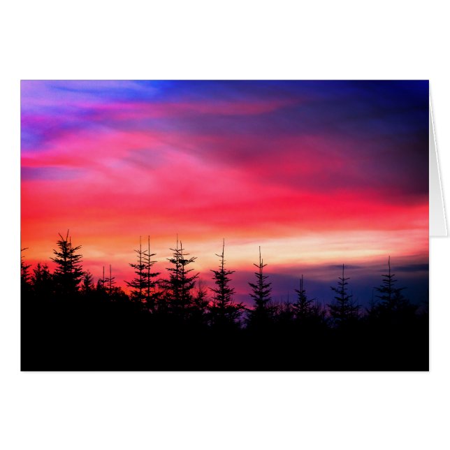 Pine Trees Under The Oregon Sunset Cards (Front Horizontal)