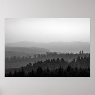 Pine trees with mist nature photo poster