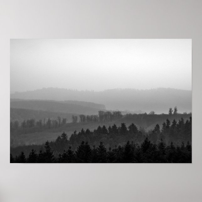 Pine trees with mist nature photo poster (Front)