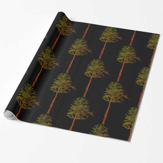 Pine Trees  Wrapping Paper (Unrolled)